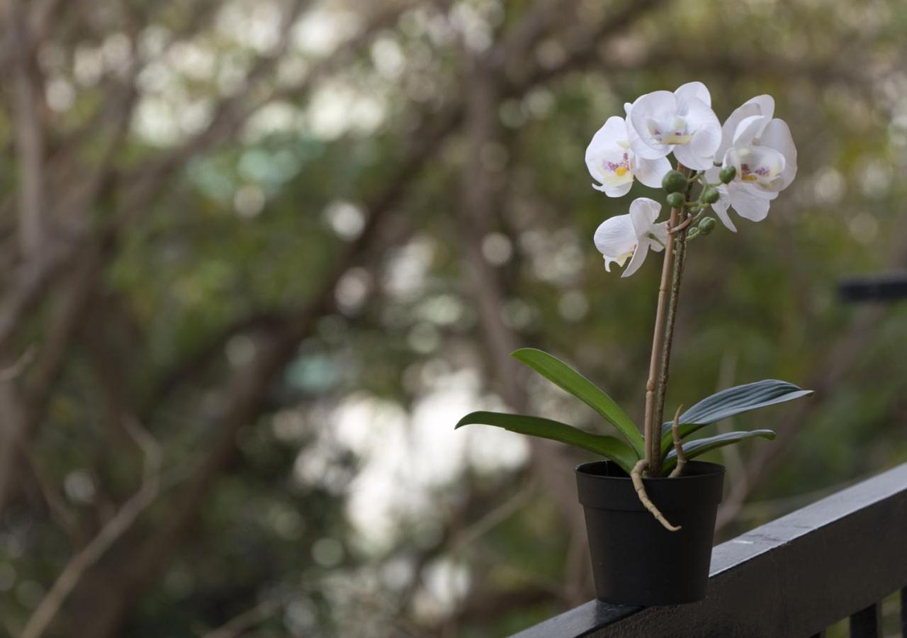 Houseloft Harmony Gardens Apartment Thessaloníki Ngoại thất bức ảnh